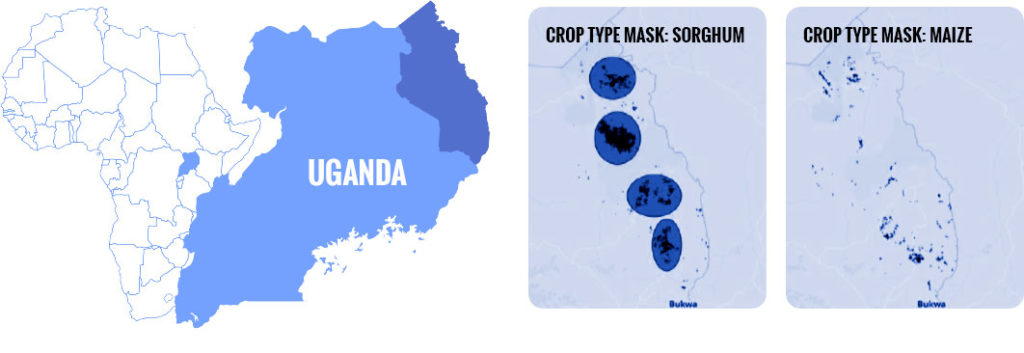 Food security and seasonal migration monitoring in Uganda. Map of clusters of maize and sorghum in Karamoja